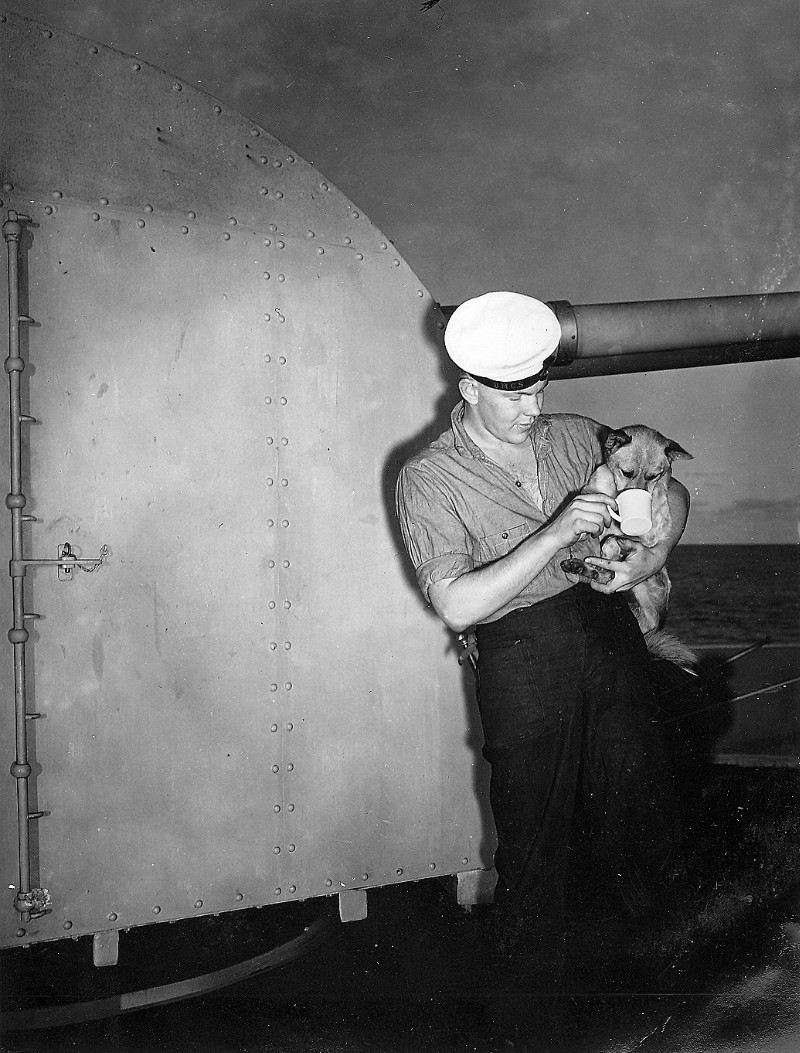 Royal Canadian Navy : HMCS Prince Robert