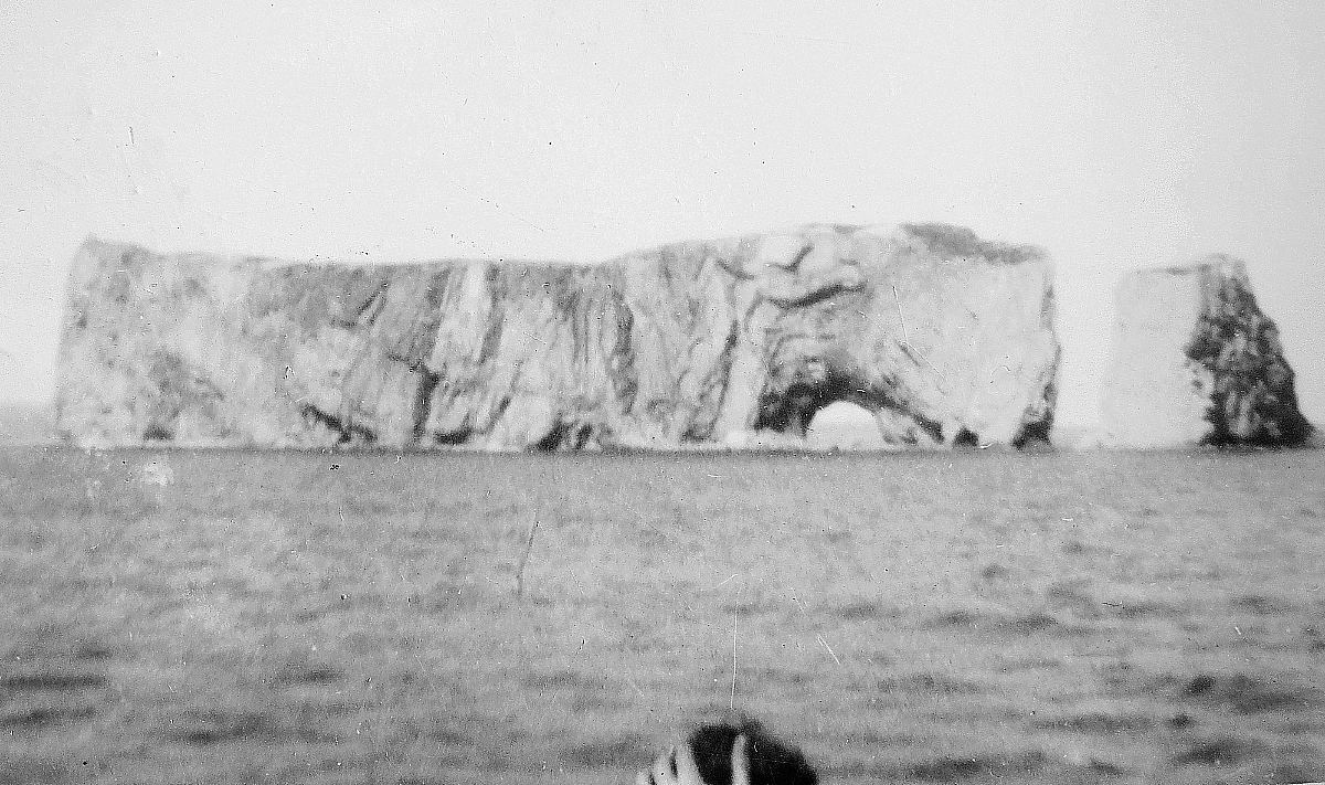 Royal Canadian Navy : Perc Rock and Gasp